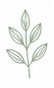 sage-leaf
