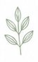 sage-leaf